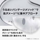 シカプラスト リペアマスク B5 プロ