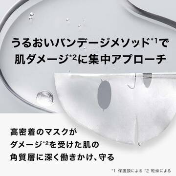 シカプラスト リペアマスク B5 プロ