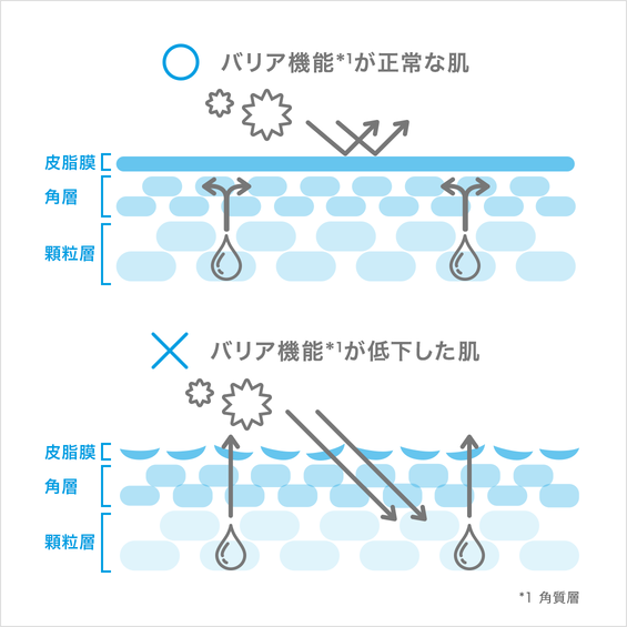 角質の役割とターンオーバー