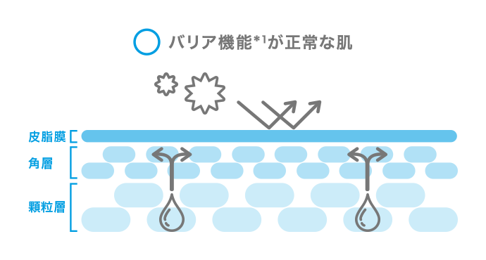 バリア機能が正常な肌