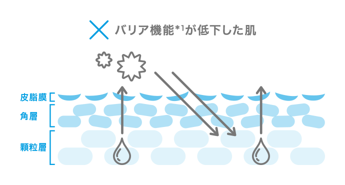 バリア機能が低下した肌