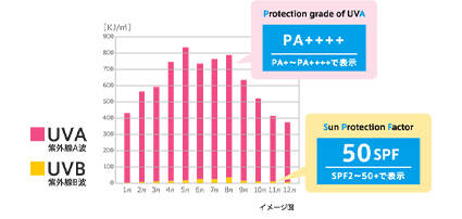 UV製品の選び方 SPFとPAは何が違うの?