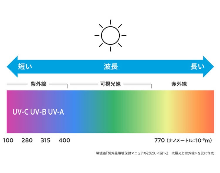 短い 波長 長い 紫外線 可視光線 赤外線 UV-C UV-B UV-A 100 280 315 400 700(ナノメートル:10-9m) 環境省「紫外線環境保健マニュアル2020」<図1-2 太陽光と紫外線>を元に作成