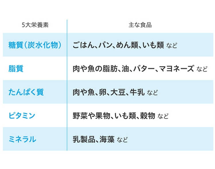 5大栄養素 主な食品 糖質(炭水化物) ごはん、パン、めん類、いも類など 脂質 肉や魚の脂肪、油、バター、マヨネーズなど たんぱく質 肉や魚、卵、大豆、牛乳など ビタミン 野菜や果物、いも類、穀物など ミネラル 乳製品、海藻など