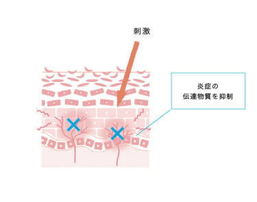 刺激 炎症の伝達物質を抑制