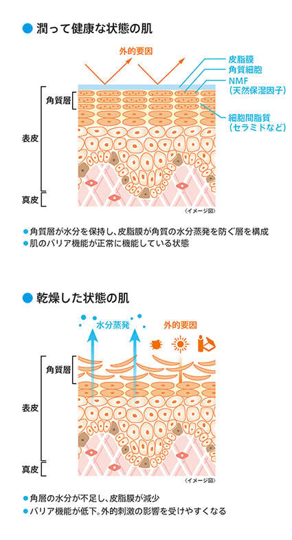 敏感肌を引き起こす“乾燥”