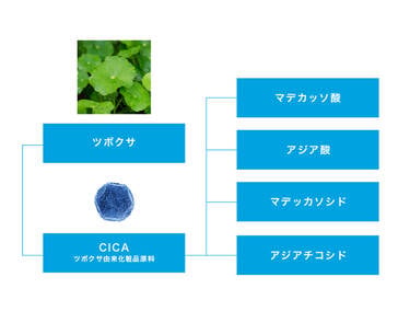 ツボクサ CICA ツボクサ由来化粧品原料 マデカッソ酸 アジア酸 マデカッソシド アジアチコシド