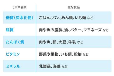 5大栄養素 主な食品 糖質(炭水化物) ごはん、パン、めん類、いも類 など 脂質 肉や魚の脂肪、油、バター、マヨネーズ など たんぱく質 肉や魚、卵、大豆、牛乳 など ビタミン 野菜や果物、いも類、穀物 など ミネラル 乳製品、海藻 など