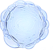 ナイアシンアミド