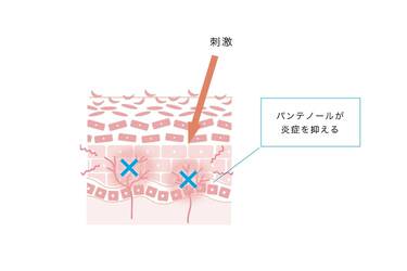 ②抗炎症作用
