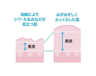 レチノールに期待できる3つの美容効果