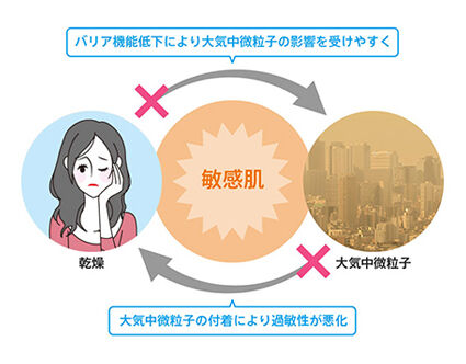 敏感肌を引き起こさないためには、乾燥と大気中微粒子をダブルでケアすることが大切です。