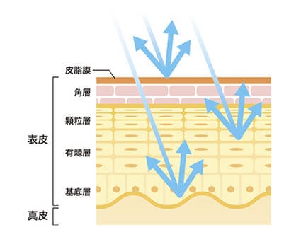透明感のある肌とは?