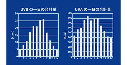 紫外線は、どんな季節や天候でも降り注いでいます