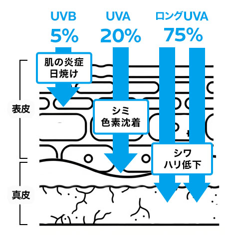 UVAにも2種類あって、特に波長が長い