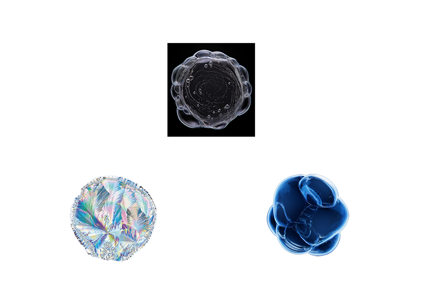 9種の厳選成分イメージ